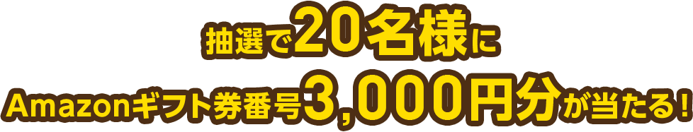 抽選で20名様にAmazonギフト券番号3,000円分が当たる!