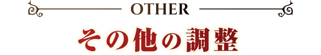 OTHER その他の調整