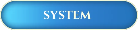 SYSTEM