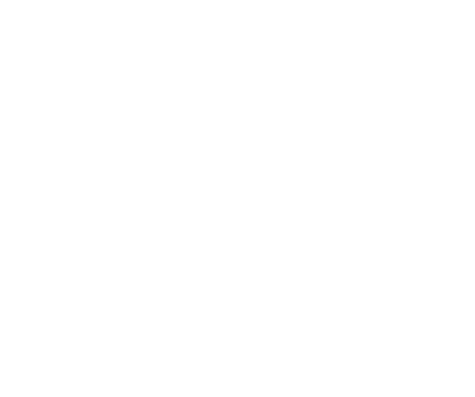 空に自由を描く少年-ヴァン