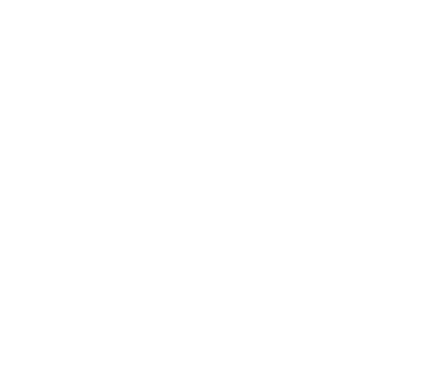 森を捨てて空をゆくヴィエラ-フラン