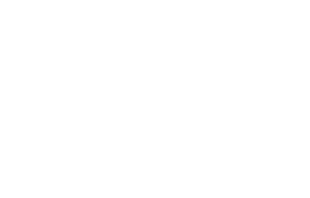 忠義の騎士、そして裏切りものと呼ばれた男-バッシュ