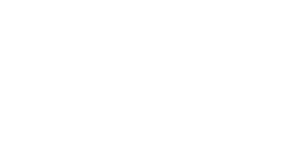 空に自由を描く少年-ヴァン