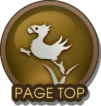 PAGE TOP