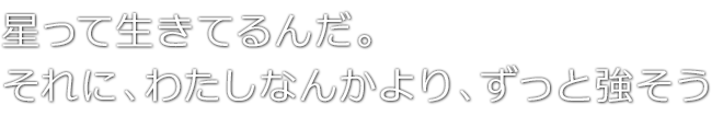 星って生きてるんだ。それに、わたしなんかより、ずっと強そう