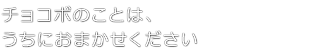 チョコボのことは、うちにおまかせください