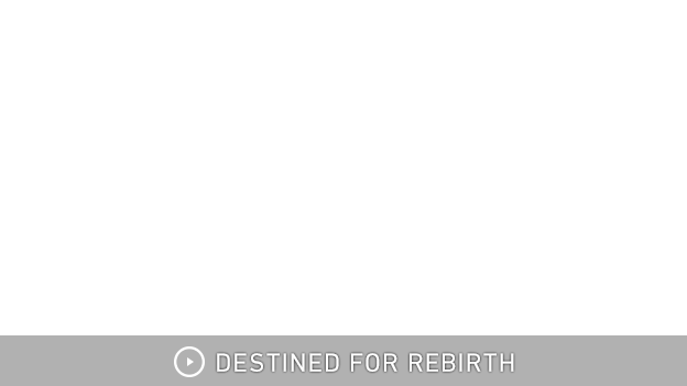 DESTINED FOR REBIRTH