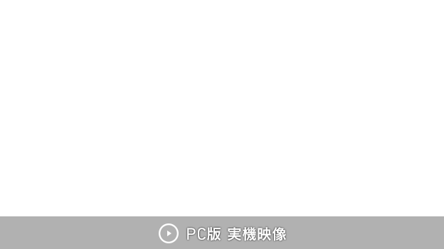 PC版 実機映像