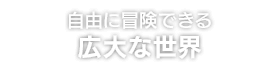 自由に冒険できる 広大な世界