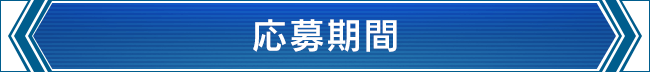 応募期間