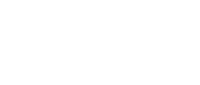 神羅カンパニーの宇宙開発部門統括。最先端の技術を集結して作られた部門だったが、ロケットの打ち上げ失敗を境に現在は凍結されている。このため、統括であるパルマーも暇を持て余している。幹部の中では最年長だが、とくに威厳や発言権があるわけではない。ラード入りの紅茶を愛飲し、「うひょひょ」と独特な笑いかたをする。