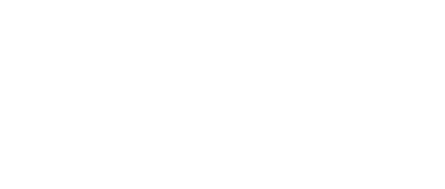 人の言葉を操る獣。赤毛に覆われたしなやかな肉体に、鋭い爪と牙、燃え盛る尾を持つ。現在は研究サンプルとして捕獲され、宝条博士の施設に監禁されている。レッドXIIIは型式番号であり、本名ではない。