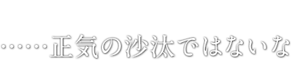 ……正気の沙汰ではないな