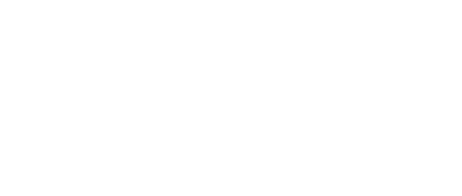 神羅カンパニーの総務部調査課《タークス》のメンバー。スキンヘッドにサングラスの巨漢。無駄口は叩かず、実直に任務をこなす。武器は持たず、強靭な肉体を活かした体術のみで戦う。