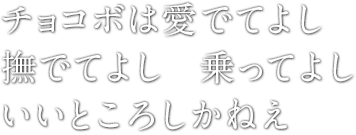 チョコボは愛でてよし　撫でてよし　乗ってよし　いいところしかねえ