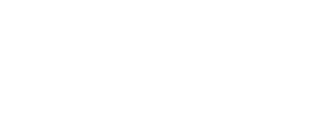 ウータイ出身の戦士。ユフィの父親であるゴドーに師事し、拳法や棒術を学ぶ。若くして参加した戦争を経て、神羅に対して憎しみを募らせる。現在は年下の先輩であるユフィとコンビを組み、潜入任務にあたる。真面目な性格で、暴走しがちな先輩を優しくフォローする。