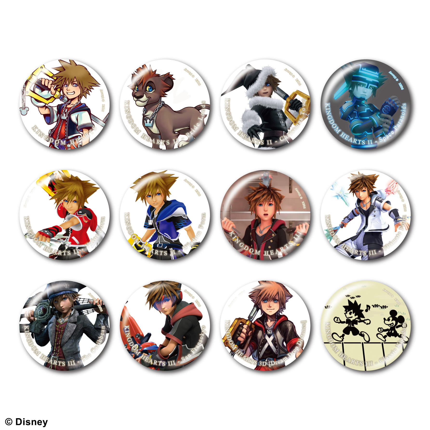 キングダム ハーツ カンバッジコレクション 〈ソラ〉 vol.2 12個