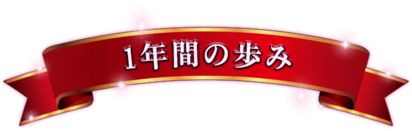 1年間の歩み
