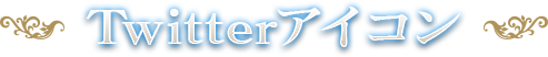 Twitterアイコン