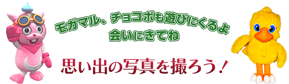 モガマル、チョコボも遊びにくるよ 会いにきてね 思い出の写真を撮ろう！