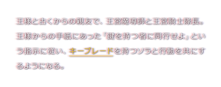 王様と古くからの親友で、王宮魔導師と王宮騎士隊長。王様からの手紙にあった「鍵を持つ者に同行せよ」という指示に従い、キーブレードを持つソラと行動を共にするようになる。