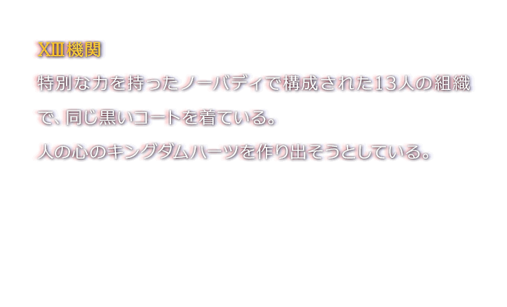 XIII機関　特別な力を持ったノーバディで構成された13人の組織で、同じ黒いコートを着ている。人の心のキングダムハーツを作り出そうとしている。