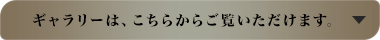 ギャラリーは、こちらからご覧いただけます。
