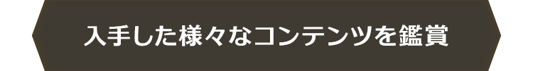 入手した様々なコンテンツを鑑賞