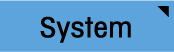 System