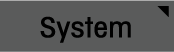 System