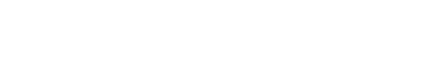 完全新作
