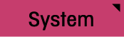 System