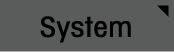 System