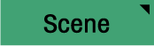 Scene