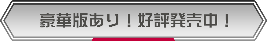 豪華版あり！好評発売中！
