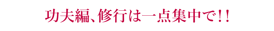 功夫編、修行は一点集中で！！