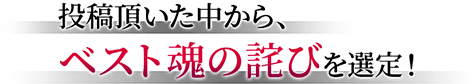 投稿頂いた中から、ベスト魂の詫び賞を選定！