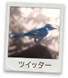 Twitter公式アカウント: Life is Strange JP