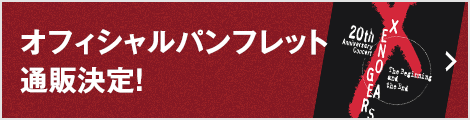 オフィシャルパンフレット通販決定！