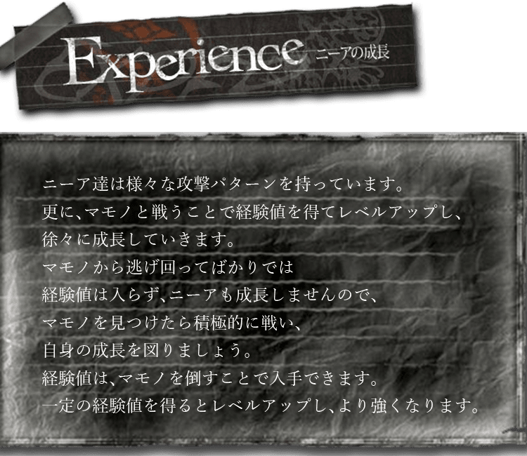 Experience　ニーア達は様々な攻撃パターンを持っています。更に、マモノと戦うことで経験値を得てレベルアップし、徐々に成長していきます。マモノから逃げ回ってばかりでは経験値は入らず、ニーアも成長しませんので、マモノを見つけたら積極的に戦い、自身の成長を図りましょう。経験値は、マモノを倒すことで入手できます。一定の経験値を得るとレベルアップし、より強くなります。