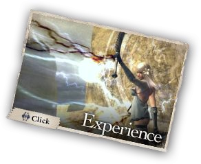 Experience（エクスペリエンス）　経験