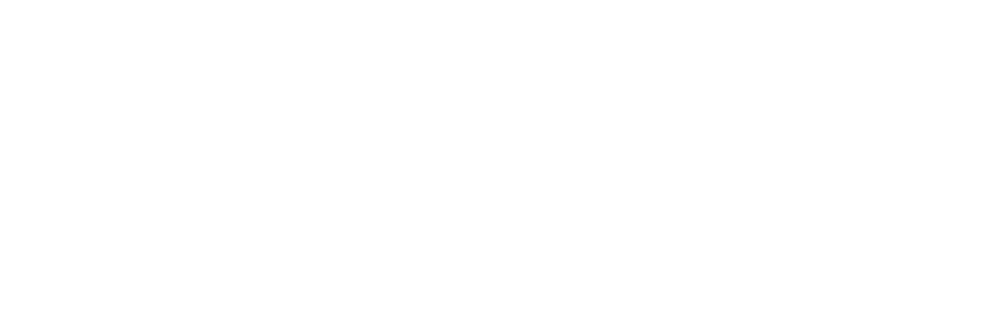 キャラクターの成長・強化　主人公たちヨルハ部隊のアンドロイドは、経験値によってレベルアップし、身体機能が向上していきます。また「プラグイン・チップ」と呼ばれるチップを埋め込むことで、任意の能力を強化することも可能です。