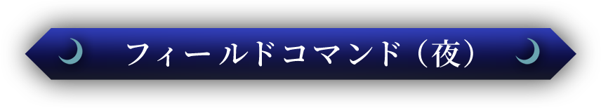 フィールドコマンド(夜)