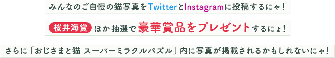 みんなのご自慢の猫写真をTwitterとInstagramに投稿するにゃ！桜井海賞ほか抽選で豪華賞品をプレゼントするにょ！さらに「おじさまと猫 スーパーミラクルパズル」内に写真が掲載されるかもしれないにゃ！