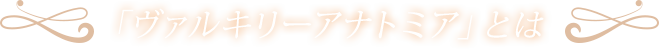 「ヴァルキリーアナトミア」とは