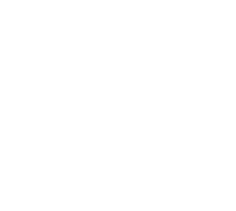 THE QUIET MAN