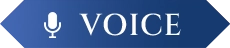 VOICE