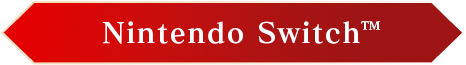Nintendo Switch™