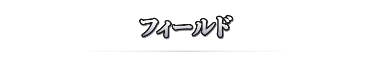 フィールド