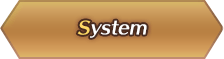 System